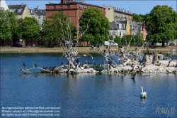 Viennaslide-06211907 Kopenhagen, Seen, Vögel brüten // Copenhagen, Seas, Birds