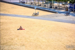 Viennaslide-06440102 Düsseldorf, Dürre am Rhein - Duesseldorf, Rhine River Banks, Drought