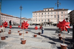 Viennaslide-06621702 Triest, Am Canal Grande