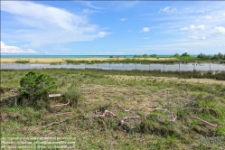 Viennaslide-06629063 Bibione, Valgrande