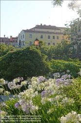 Viennaslide-06821934 Venedig, Giardini Reali (Königlicher Garten) // Venice, Royal Garden (Napoleon's Gardens)