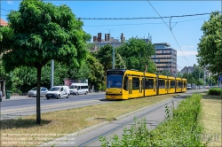 Viennaslide-07319966 Budapest, Straßenbahn,  Ajtósi Dürer sor // Budapest, Tramway, Streetcar,  Ajtósi Dürer sor