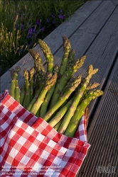 Viennaslide-72000079 Spargel - Asparagus