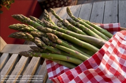 Viennaslide-72000081 Spargel - Asparagus