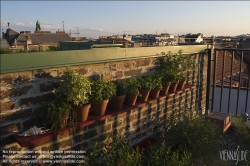 Viennaslide-72000151 Dachgarten, Kräuterregal, Bohnenkraut, weisser Basilikum, Zitronenmelisse, Zitronenthymian, Basilikum, Waldmeister, Apfelminze, Zitronenverbene - Rooftop Garden, Herbs