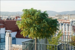 Viennaslide-78315243 Wien, Dachgarten - Vienna, Rooftop Garden