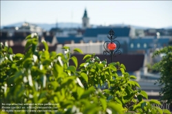 Viennaslide-78315267 Wien, Dachgarten - Vienna, Rooftop Garden