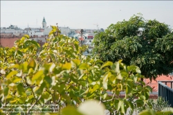 Viennaslide-78315361 Wien, Dachgarten - Vienna, Rooftop Garden