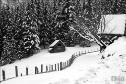 Viennaslide-85240035 Steiermark, Winterlandschaft