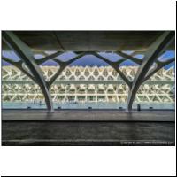 Calatrava-Valencia-05451816.jpg