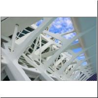 Calatrava-Valencia-05451769.jpg