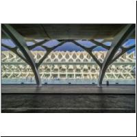 Calatrava-Valencia-05451816.jpg