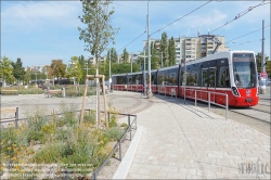 Viennaslide-00110158 Wien Simmering, 'Klimafitter' Platz // Vienna, Public Space, Greenery