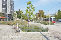 Viennaslide-00110159 Wien Simmering, 'Klimafitter' Platz // Vienna, Public Space, Greenery