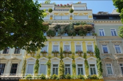 Viennaslide-00200119 Wien, Hannovergasse 5, Fassadenbegrünung // Vienna, Facade Greening