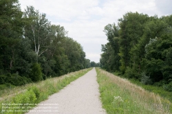 Viennaslide-00317194 Wien, Lobau, Donauauen - Vienna, Alluvial Forest at the Danube River