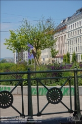 Viennaslide-00319206 Wien, begrünte Nevillebrücke // Vienna, Footbridge with Park