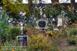 Viennaslide-00371426h Wien, Friedhof der Namenslosen - Vienna, Graveyard for the Nameless