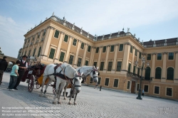 Viennaslide-01020243 Wien, Schloß Schönbrunn, Ehrenhof, Fiaker - Vienna, Schoenbrunn Palace, Court of Honour