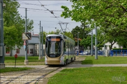 Viennaslide-03700329 Wien, Hauptwerkstätte der Wiener Linien, Alstom Flexity Brüssel // Vienna, Wiener Linien, Main Workshop, Alstom Flexity Brussels