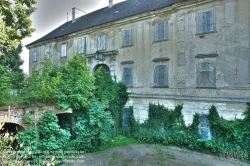 Viennaslide-04281301h Niederösterreich, verfallenes Schloss Ladendorf