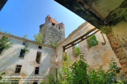 Viennaslide-04301918h Pottendorf, Schlossruine - Austria, Pottendorf, Ruin of old Moated Castle