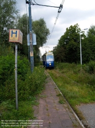 Viennaslide-05929932 Amsterdam, Straßenbahn-Museumslinie 
Haarlemmermeerstation
Amstelveenseweg 264
1075 XV Amsterdam (Oud zuid)
www.museumtramlijn.org