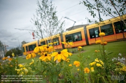 Viennaslide-05252820 Reims, moderne Straßenbahn - Reims, modern Tramway