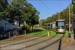 Viennaslide-05263876 Orleans, Tramway Line A, Promenade Tilleuls 