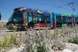 Viennaslide-05293080 Montpellier, moderne Tramway Linie 3, Fahrzeugdesign von Christian Lacroix - Montpellier, modern Tramway Line 3, Design by Christian Lacroix, Mosson