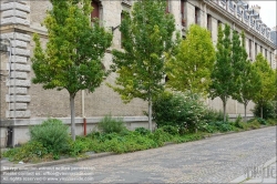 Viennaslide-05314016 Paris, Rue de Sully, Straenbegrnung // Paris, Rue de Sully, Greening