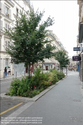 Viennaslide-05380101 Paris, Rue Blanche, Straßenbegrünung // Paris, Rue Blanche, Greening