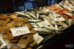 Viennaslide-06802123 Venedig, Rialto Fischmarkt // Venice, Rialto Fish Market