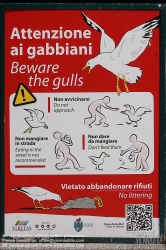 Viennaslide-06804187 Venedig, Warnung vor Möven // Venice, Warning against seagulls