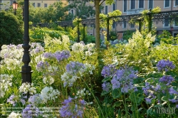 Viennaslide-06821933 Venedig, Giardini Reali (Königlicher Garten) // Venice, Royal Garden (Napoleon's Gardens)