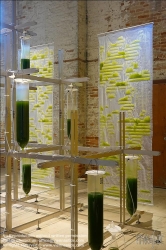 Viennaslide-06872178 EcoLogicStudio has designed the Bit.Bio.Bot exhibition at the Venice Architecture Biennale, which invites visitors to taste freshly harvested algae and consider growing it in their own homes.
Combining architecture and microbiology, the exhibition shows how city dwellers could purify the air, sequester carbon, gain a sustainable food source and enjoy a greater connection to nature by cultivating their own algae.