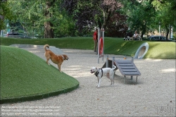 Viennaslide-07337045 Budapest, Varosliget, Hundezone // Budapest, Varosliget, Dogs Playground