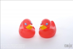 Viennaslide-76191505 Badeente - Rubber Duck