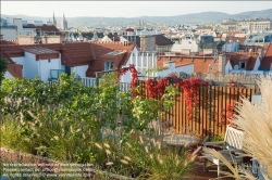 Viennaslide-78315241 Wien, Dachgarten - Vienna, Rooftop Garden