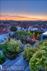 Viennaslide-78315277 Wien, Dachgarten - Vienna, Rooftop Garden