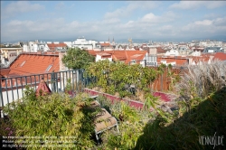 Viennaslide-78315298 Wien, Dachgarten - Vienna, Rooftop Garden