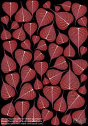 Viennaslide-87111120 Blätter, Illustration - Leaves, Illustration