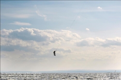 Viennaslide-92110103 Kitesurfing